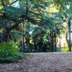 barrio-alto-b-jardin-botanico
