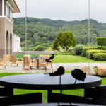 MIdori-Lisboa-1