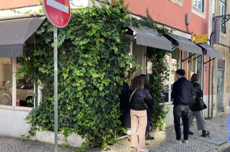 Un brunch en Seagull